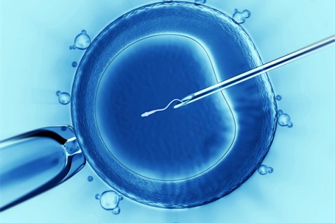http://hefei.vdtfzz.com/post/198.html|合肥代生助孕