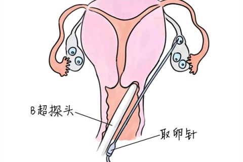 http://hefei.vdtfzz.com/post/205.html|合肥供卵助孕