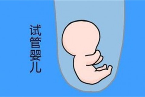 http://hefei.vdtfzz.com/post/194.html|合肥新闻中心